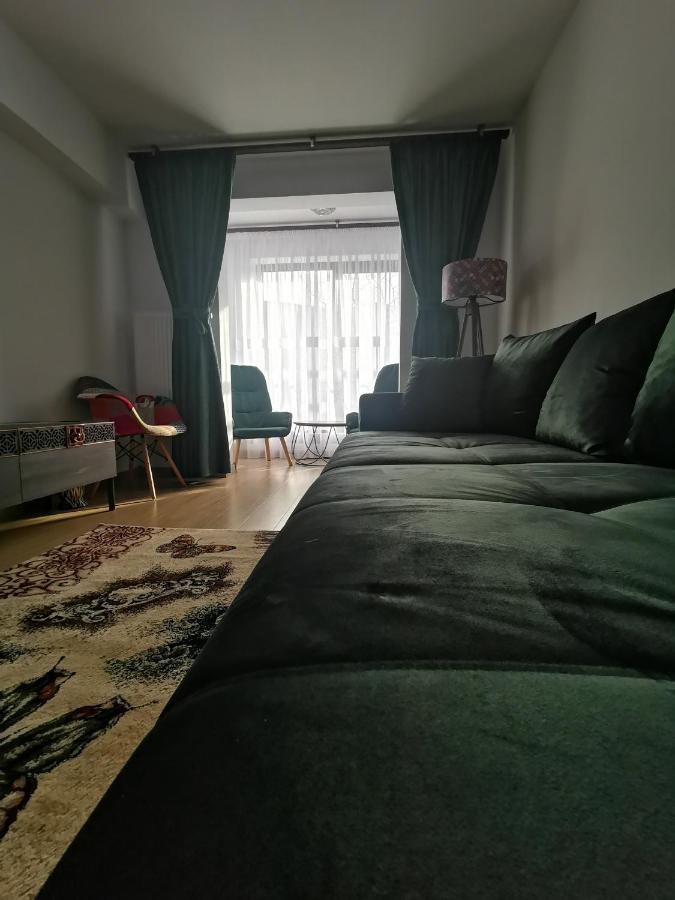 Apartament Mister Guest Nehoiu Zewnętrze zdjęcie