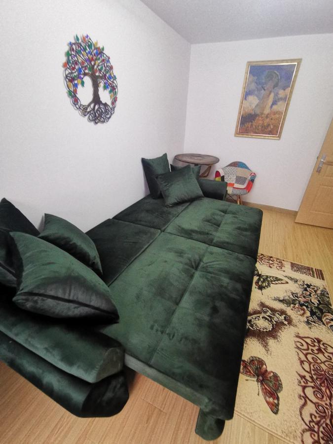 Apartament Mister Guest Nehoiu Zewnętrze zdjęcie